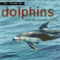 The Sound Of Dolphins - Levantis (Levantis & Friends)