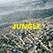 JUNGLE - Blaze (FRA) (The Blaze)