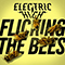 Flicking The Bees - Electric High