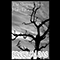 The Sleeping Trees Have Eyes (demo)