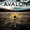 Reborn - Avalon (USA)