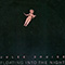 Floating Into The Nightt - Julee Cruise (Cruise, Julee Ann)