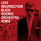 Love Insurrection  (Black Science Orchestra Remix)