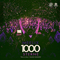 1000 Sterne (Talla 2XLC Rework) (Single)