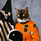 Surfing The Void: Instrumentals - Klaxons (Klax0ns)