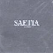 A Retrospective - Saetia