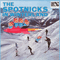 The Spotnicks In Winterland - Spotnicks (The Spotnicks, The Feenades, Bo Winberg)