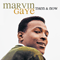 Then & Now - Marvin Gaye (Gaye, Marvin / Marvin Pentz Gay Jr.)