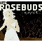 Night Of The Furies - Rosebuds (The Rosebuds: Ivan Howard & Kelly Crisp)