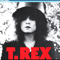 The Slider (Remastered 1987) - T. Rex (T.Rex / Tyrannosaurus Rex)