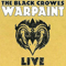 Warpaint Live (CD 2)