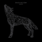 Wolves (Instrumental) - Digitalism (Jens Moelle & Ismail Tuefekci)