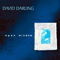 Open Window - David Darling (Darling, David)