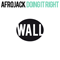 Doing It Right - Afrojack (Nick van de Wall)