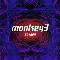39 Laps - Monkey3