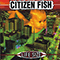 Life Size - Citizen Fish