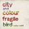 Fragile Bird (Radio Edit) (Single)