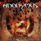 Chapter Chaos Begins - Anonymus