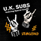 Stranglehold: U.K. Subs featuring Special Guests