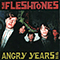 Angry Years '84-'86 - Fleshtones (The Fleshtones)