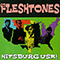 Hitsburg USA! - Fleshtones (The Fleshtones)