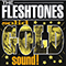 Solid Sound! - Fleshtones (The Fleshtones)