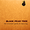 Black Pear Tree EP