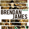 Hope In Transition - Brendan James (James Brendan)