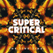 Super Critical - Ting Tings (The Ting Tings)