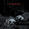 Hold You Up (10'') - Gaslight Anthem (The Gaslight Anthem)