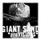 proVISIONS - Giant Sand