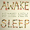 Awake Is The New Sleep - Ben Lee (Benjamin Michael Lee)