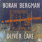A New Organisation - Borah Bergman (Bergman, Borah)
