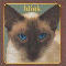 Cheshire Cat - Blink-182 (Blink 182)