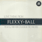 Love Theme From Flexxy-Ball (You'll Never Change No More)