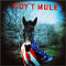 Gov't Mule - Gov't Mule (Govt Mule / Gov’t Mule)