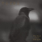 The Black Ravens Flew Again - Veles