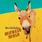 Miracle Mule