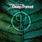 The Essence Of The Forest By Deep Forest - Deep Forest (Eric Mouquet & Michel Sanchez)