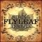 Flyleaf String Tribute - Flyleaf
