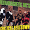 Critical Beatdown - Ultramagnetic MC's