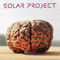 The House Of S. Phrenia - Solar Project