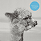 Die Moglichkeit eines Lamas (Radio Edit) (Single)