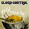 Gold Canary - Cloud Control