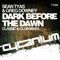 Dark Before The Dawn - Sean Tyas (Tyas, Sean Edwin / Syat Naes / Sonar Systems / 64 Bit)