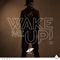 Wake Me Up - Tim Bergling (Berg, Tim / Avicii)