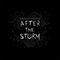 After the Storm (Single)