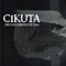 The Golden Root Era - Cikuta