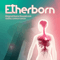 Etherborn (Original Game Soundtrack) (by Gabriel Garrido Garcia)