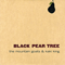 Black Pear Tree EP